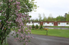  Motel Boisé  Бленвиль